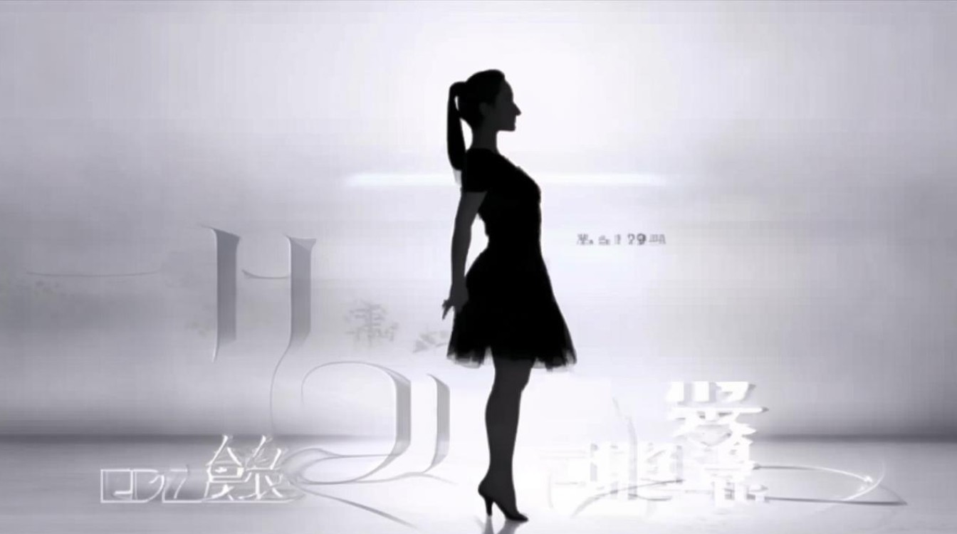 杨丽萍dj再相遇mp3