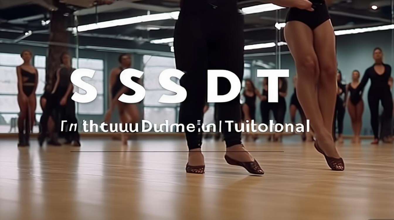 sdt舞蹈教学视频新手跟练能学会吗？